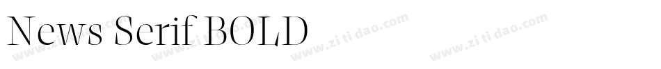 News Serif BOLD字体转换
